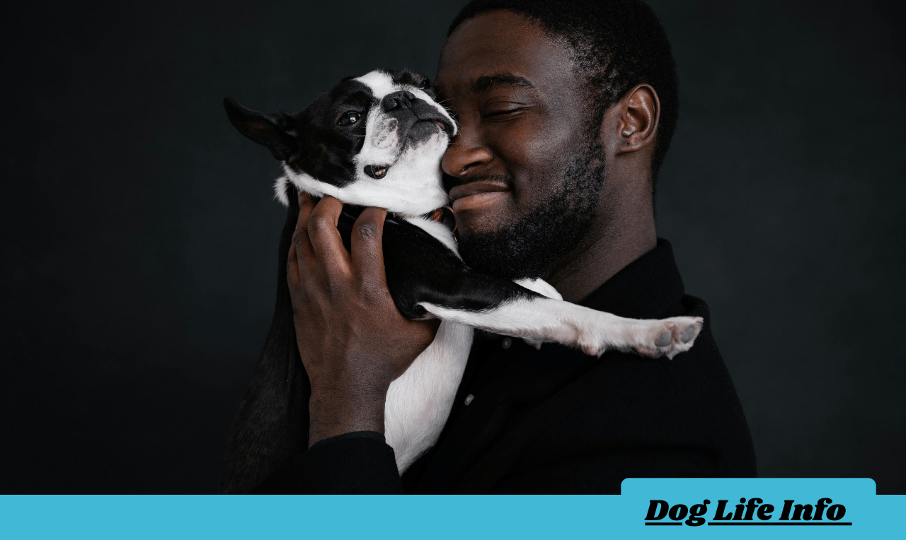 Puppy Mill Dog Behavior Problems Puppy Mill Dog Behavior Problems