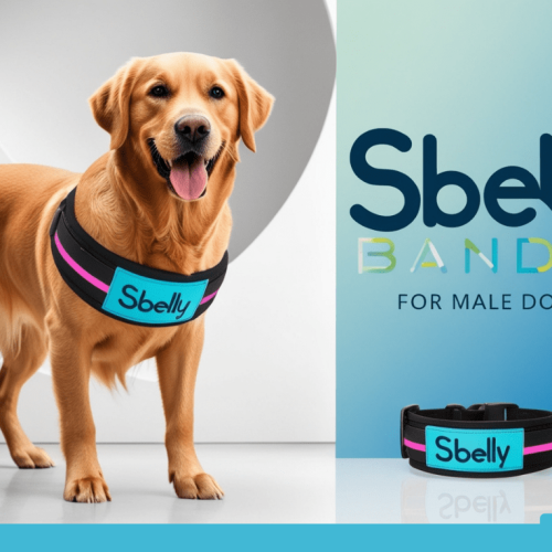 Belly Bands for Male Dogs