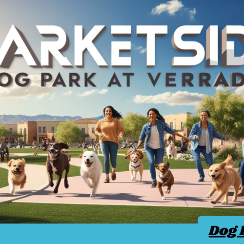 Marketside Dog Park at Verrado